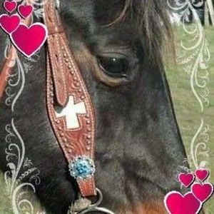 Meet your Posher, Bobbie